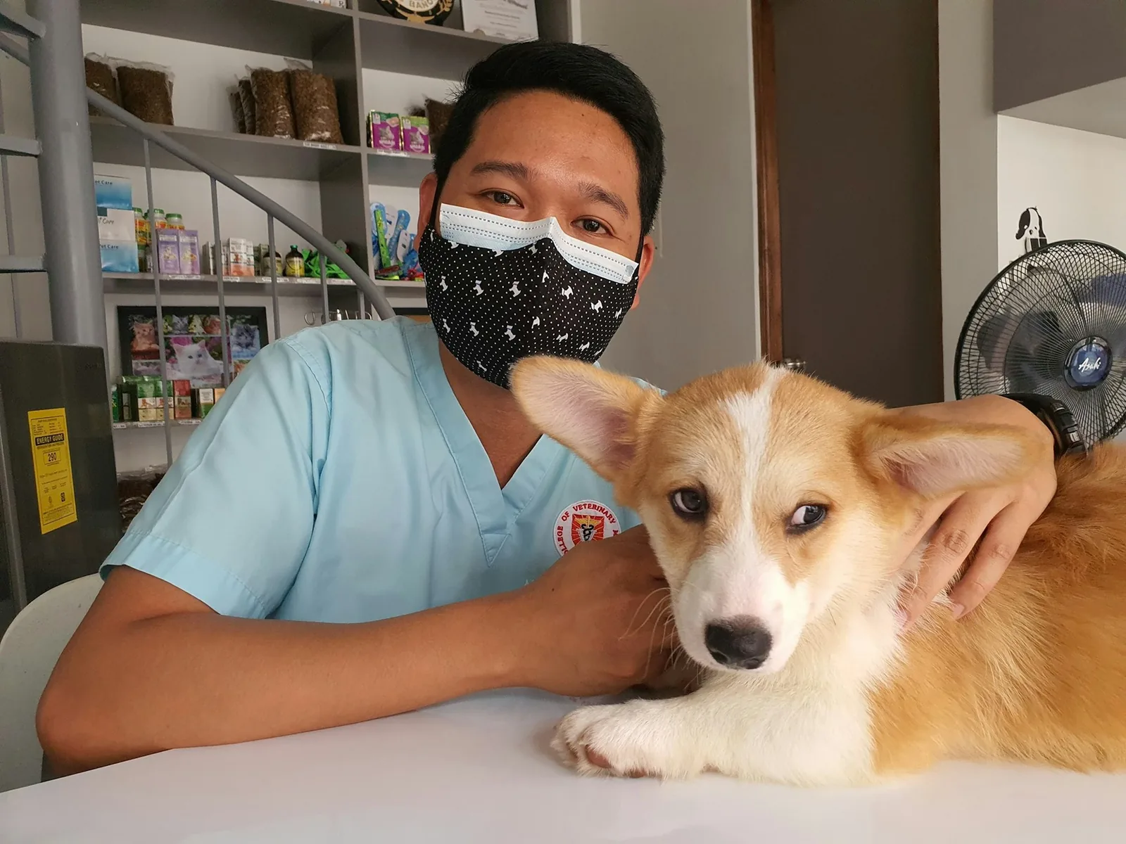 A veterinarian examining a small dog