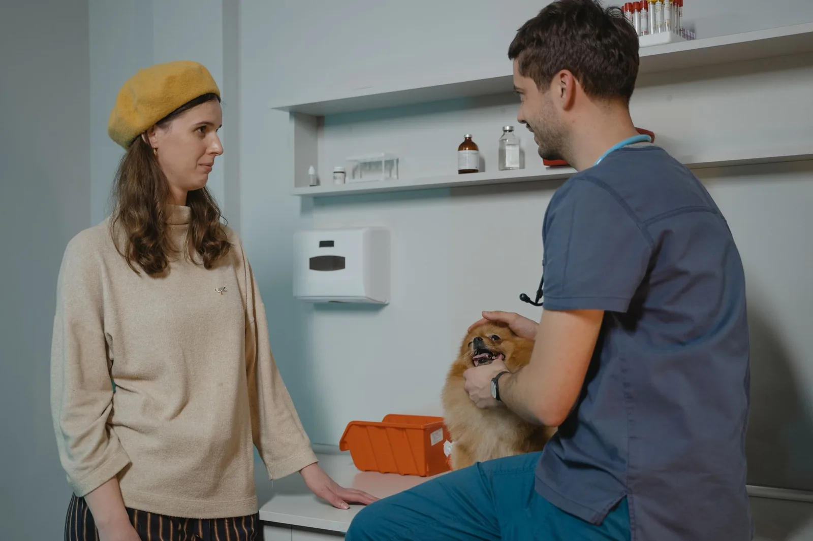 A veterinarian discussing treatment with a dog owner