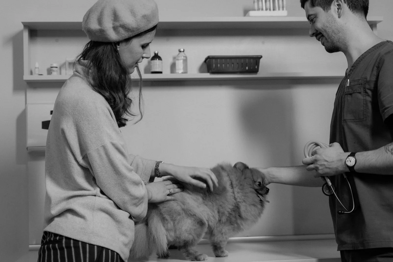 A veterinarian talking with an owner in a consulting room