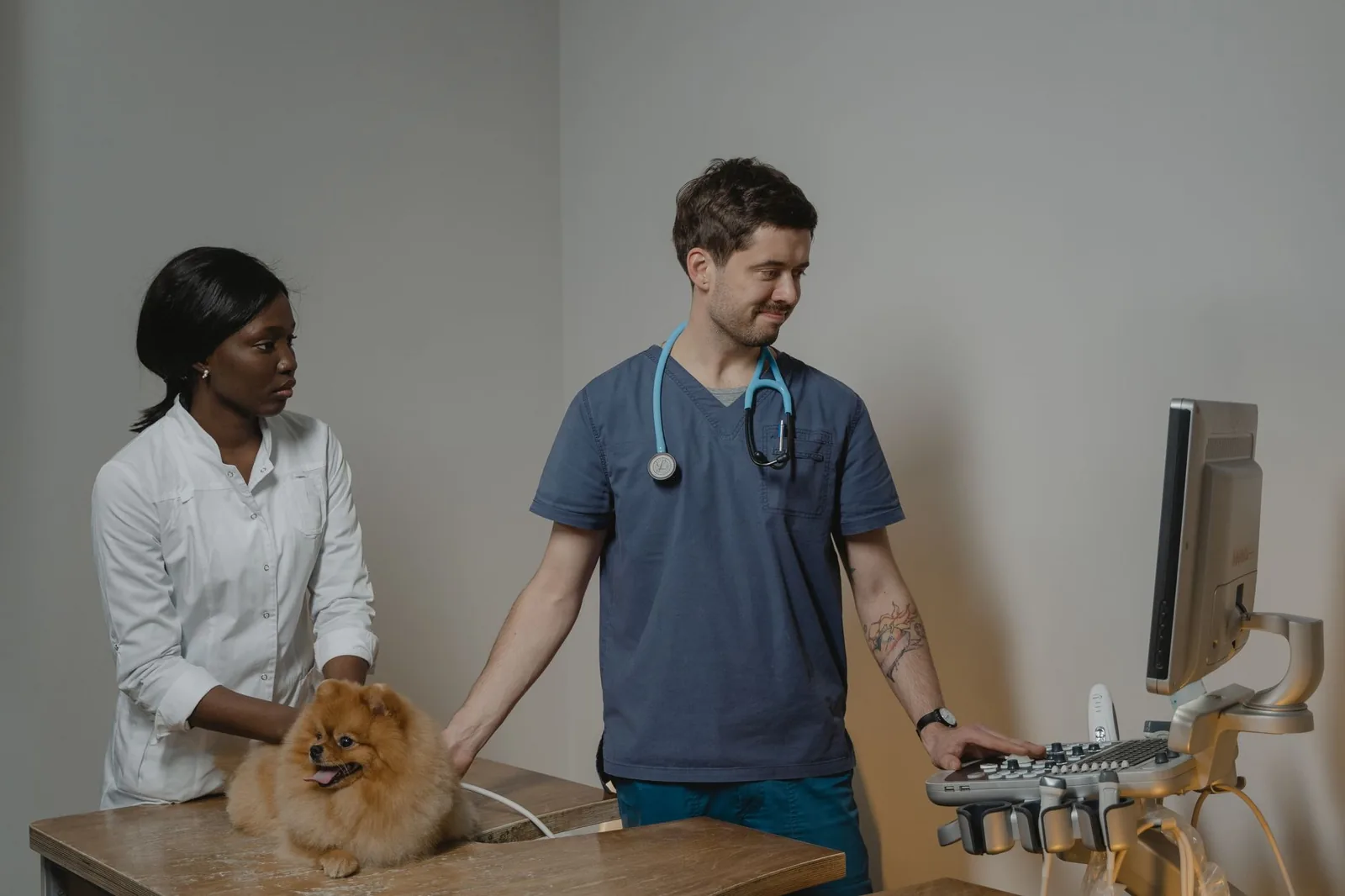 A small dog being weighed at a veterinary practice
