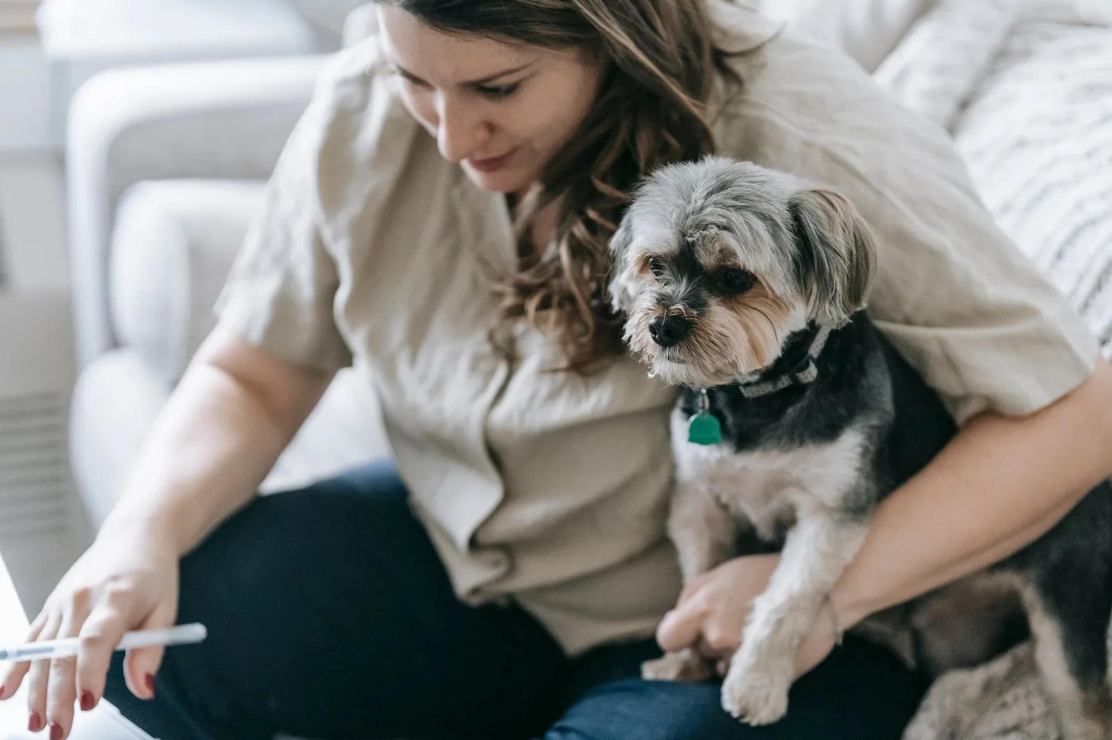 A volunteer at home on a sofa with a small rescue dog