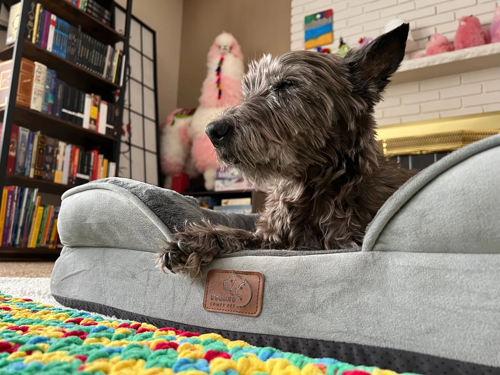 A dog bed set up in the corner of a living room